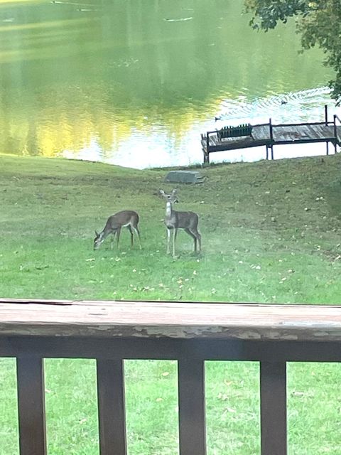 Tiny photo for 3085 Kaolin Road, Cobden, IL 62920 (MLS # 12571623)