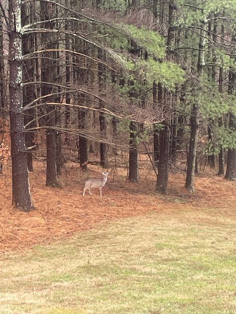 Tiny photo for 3085 Kaolin Road, Cobden, IL 62920 (MLS # 12571623)