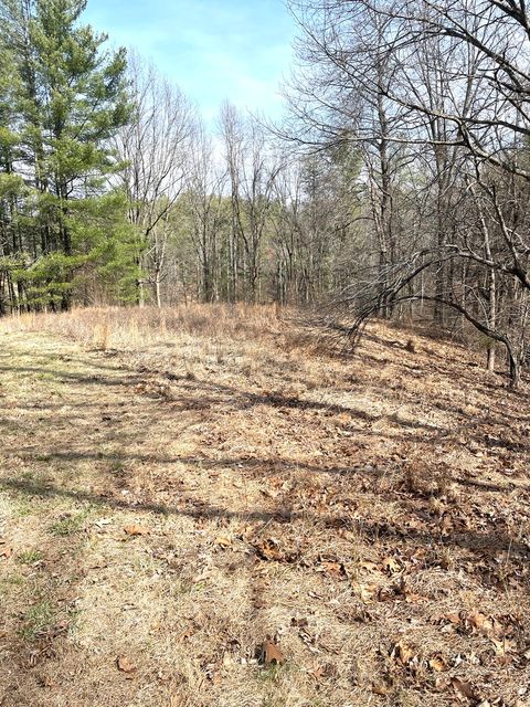 Tiny photo for 3085 Kaolin Road, Cobden, IL 62920 (MLS # 12571623)