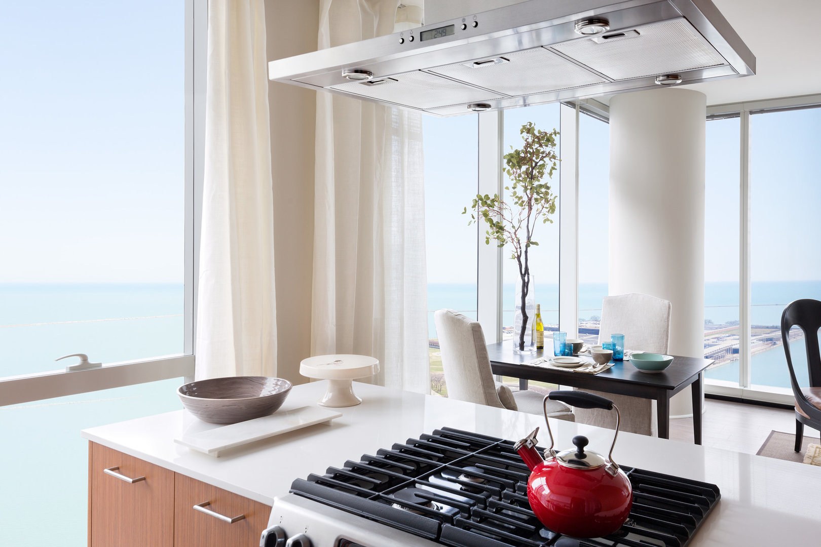 500 N Lake Shore Drive 3814