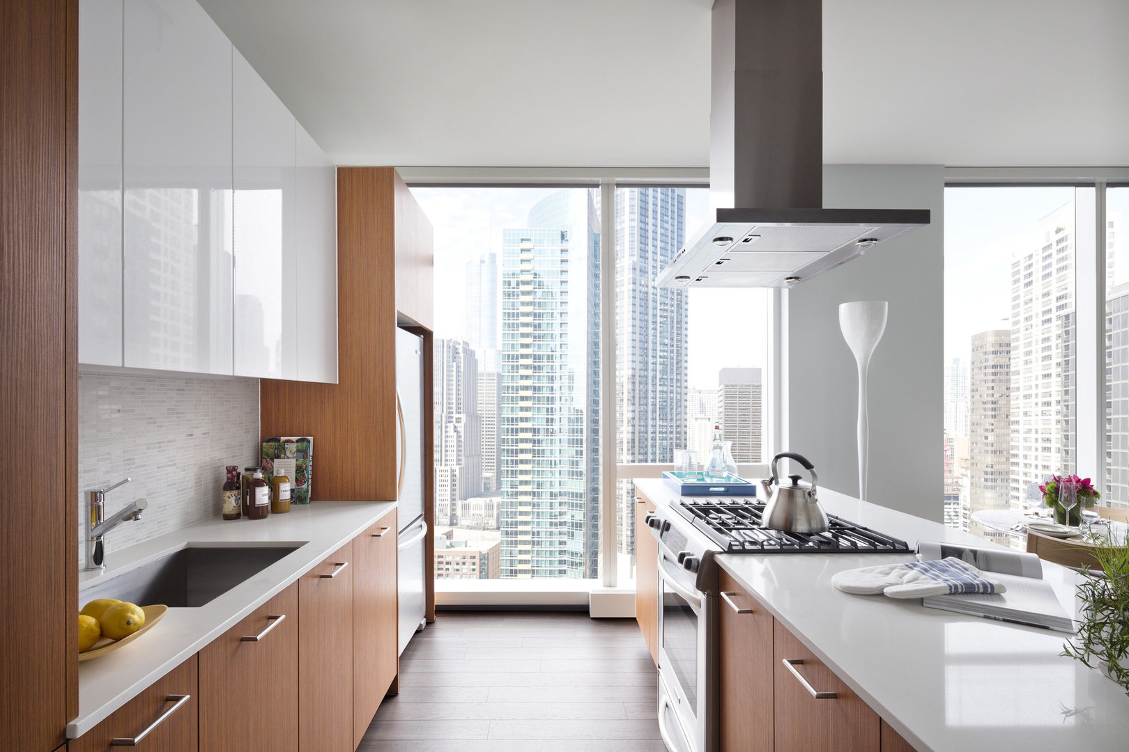 500 N Lake Shore Drive 3814