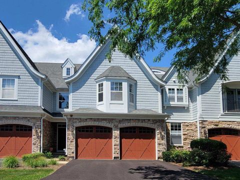 21946 W TORI Lane Deer Park IL 60010