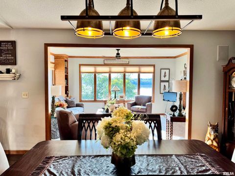 Tiny photo for 102 5TH Street #6, Fulton, IL 61252 (MLS # QC4267269)