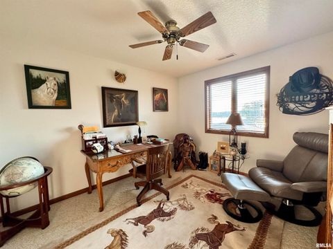 Tiny photo for 102 5TH Street #6, Fulton, IL 61252 (MLS # QC4267269)