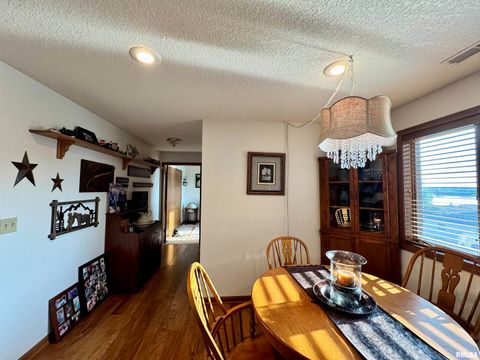 Tiny photo for 102 5TH Street #6, Fulton, IL 61252 (MLS # QC4267269)