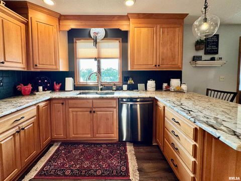 Tiny photo for 102 5TH Street #6, Fulton, IL 61252 (MLS # QC4267269)