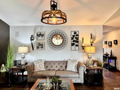 Tiny photo for 102 5TH Street #6, Fulton, IL 61252 (MLS # QC4267269)