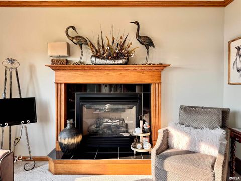 Tiny photo for 102 5TH Street #6, Fulton, IL 61252 (MLS # QC4267269)