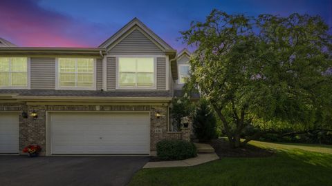 Photo of 156 River Mist Drive, Oswego, IL 60543 (MLS # 12459431)