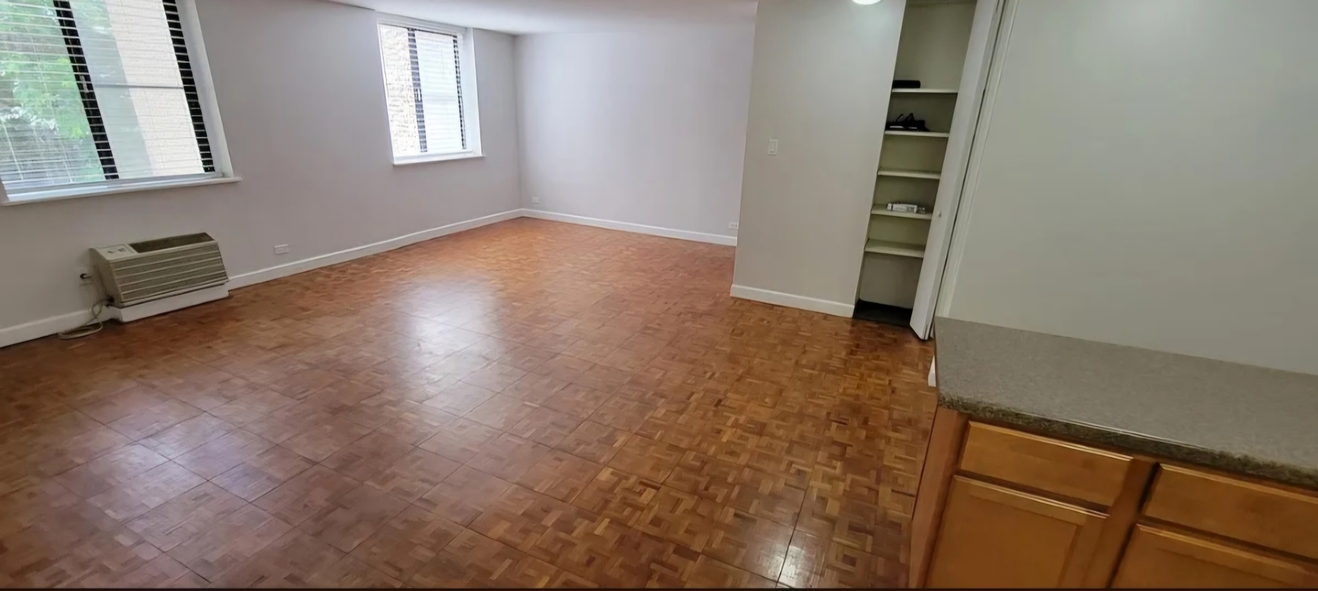 1339 N DEARBORN Street 3B