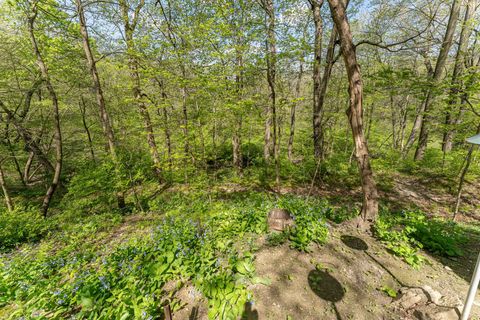 Tiny photo for 1479 Old Mill Road, Franklin Grove, IL 61031 (MLS # 12365012)