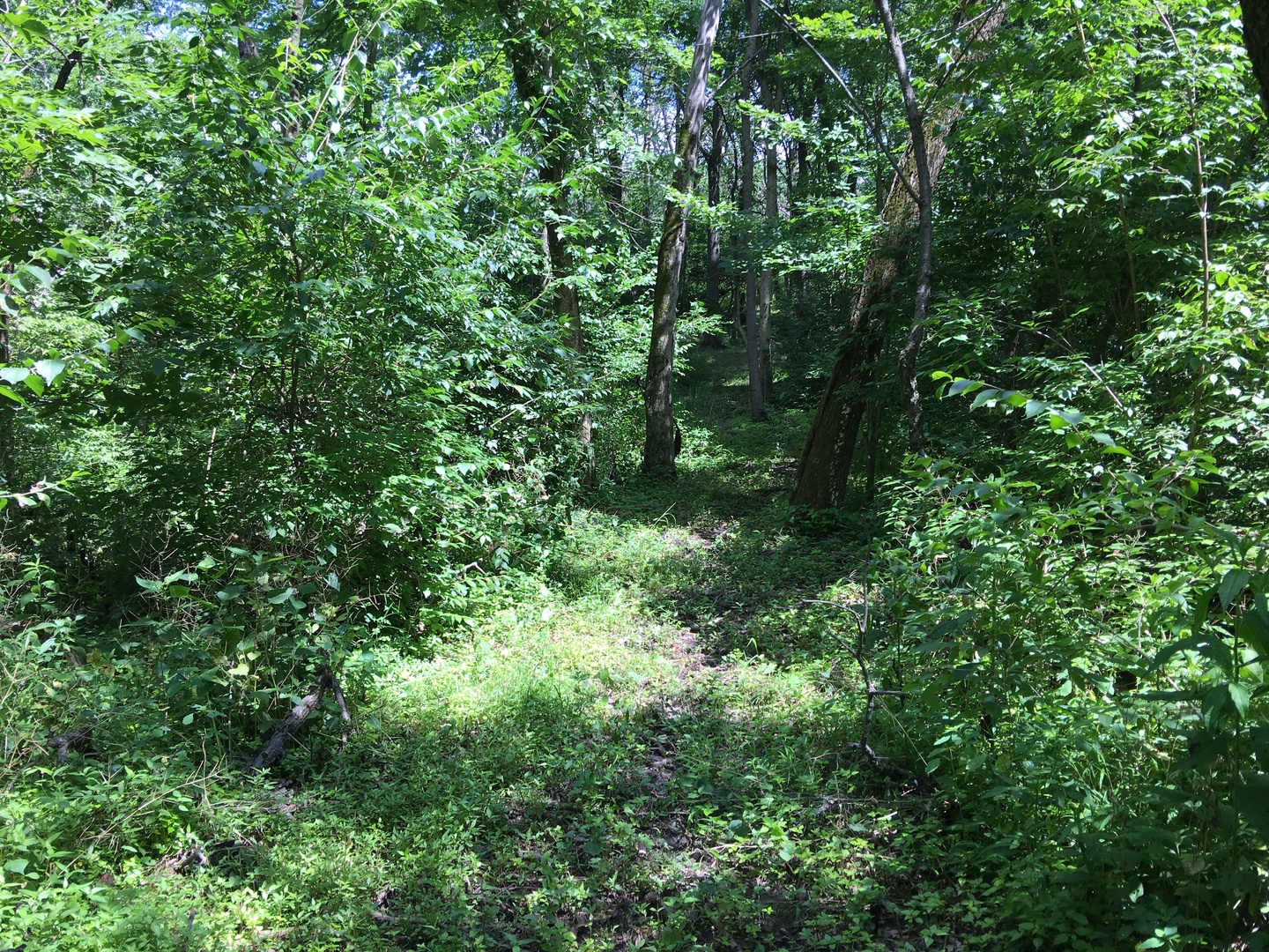 Oak Meadow Lot 3 Hadley Road