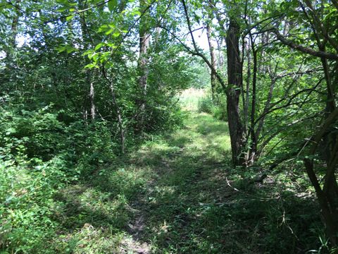 Oak Meadow Lot 3 Hadley Road Homer Glen IL 60491