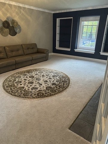 Tiny photo for 3601 14th Street, Rock Island, IL 61201 (MLS # 12784378)