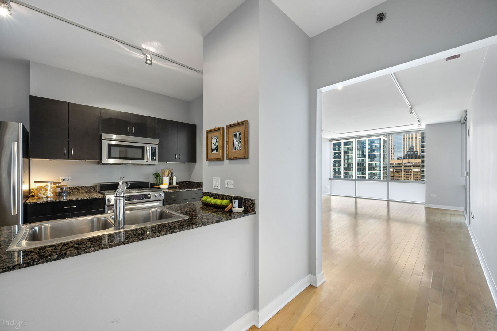 8 E Randolph Street 3202