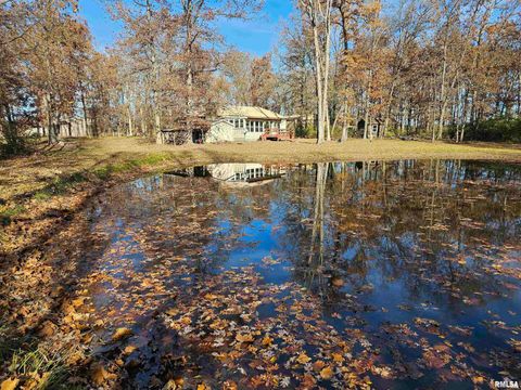 Tiny photo for 4248 CHURCH Road, Salem, IL 62881 (MLS # EB460520)