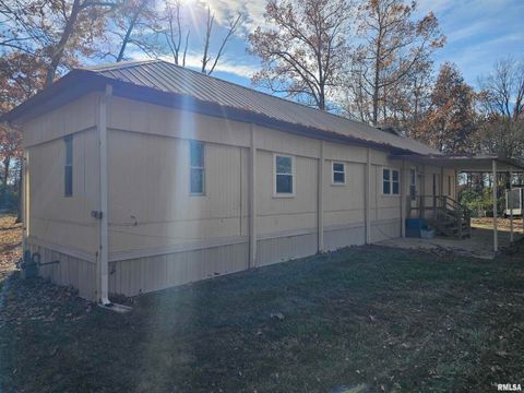 Tiny photo for 4248 CHURCH Road, Salem, IL 62881 (MLS # EB460520)