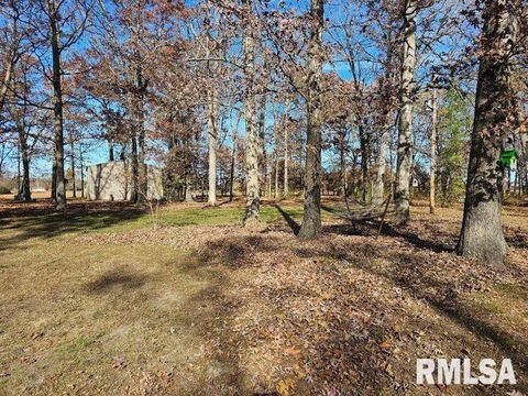 Tiny photo for 4248 CHURCH Road, Salem, IL 62881 (MLS # EB460520)