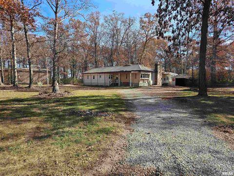 Tiny photo for 4248 CHURCH Road, Salem, IL 62881 (MLS # EB460520)