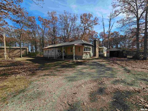 Tiny photo for 4248 CHURCH Road, Salem, IL 62881 (MLS # EB460520)