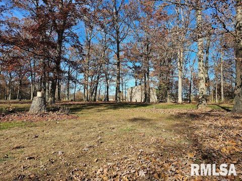 Tiny photo for 4248 CHURCH Road, Salem, IL 62881 (MLS # EB460520)