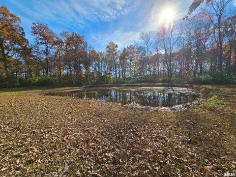 Tiny photo for 4248 CHURCH Road, Salem, IL 62881 (MLS # EB460520)