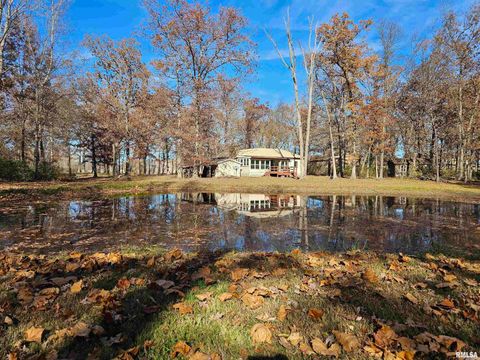 Tiny photo for 4248 CHURCH Road, Salem, IL 62881 (MLS # EB460520)