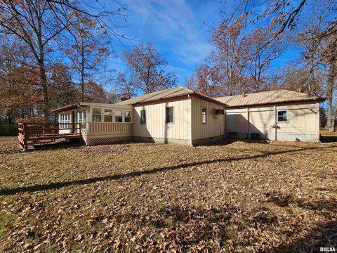 Tiny photo for 4248 CHURCH Road, Salem, IL 62881 (MLS # EB460520)