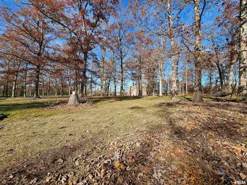 Tiny photo for 4248 CHURCH Road, Salem, IL 62881 (MLS # EB460520)