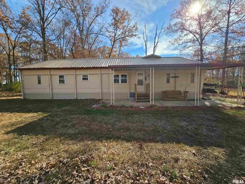 Tiny photo for 4248 CHURCH Road, Salem, IL 62881 (MLS # EB460520)