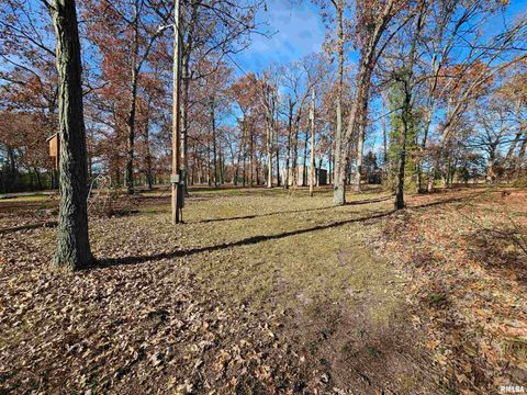 Tiny photo for 4248 CHURCH Road, Salem, IL 62881 (MLS # EB460520)