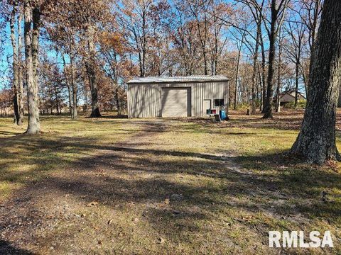 Tiny photo for 4248 CHURCH Road, Salem, IL 62881 (MLS # EB460520)