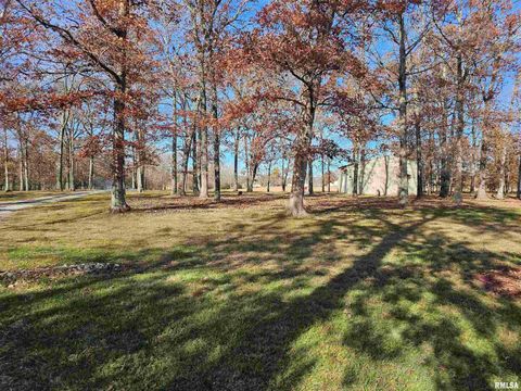 Tiny photo for 4248 CHURCH Road, Salem, IL 62881 (MLS # EB460520)