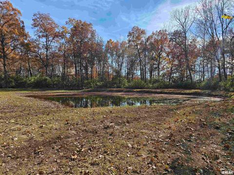 Tiny photo for 4248 CHURCH Road, Salem, IL 62881 (MLS # EB460520)