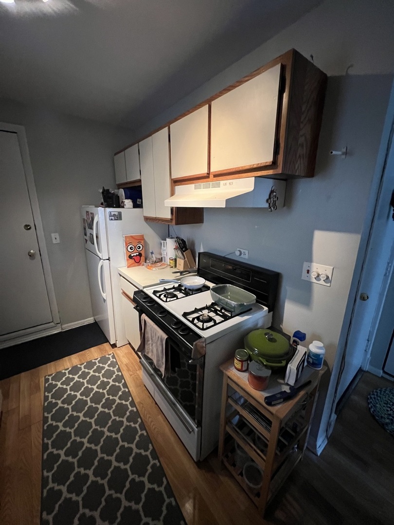 866 W aldine Avenue 3