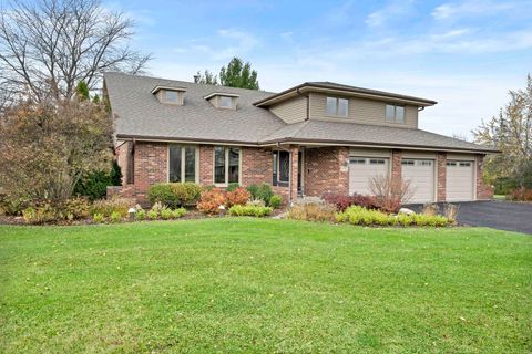 A home in Homer Glen