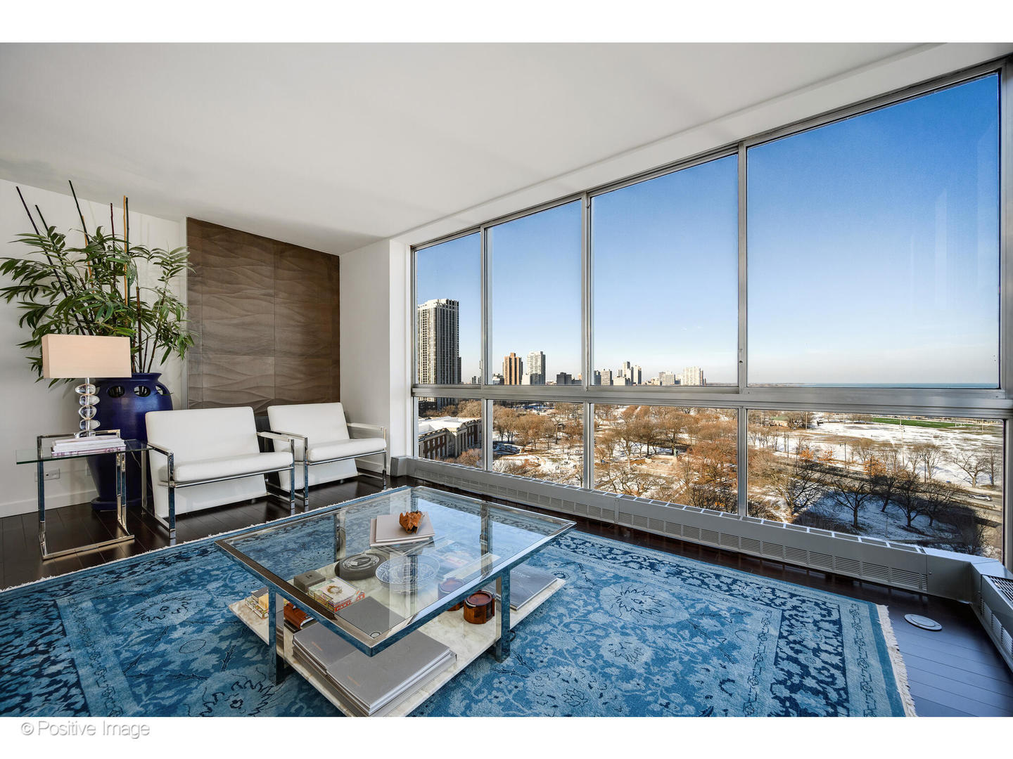 1555 N Dearborn Street 14AB