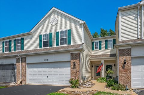 Photo of 8513 Sawyer Court, Joliet, IL 60431 (MLS # 12458526)