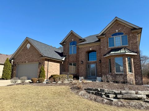 16013 Donna Marie Drive Homer Glen IL 60491