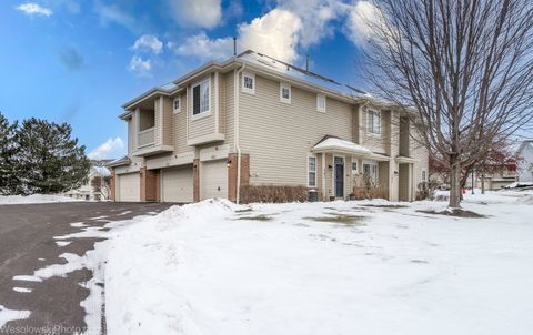 581 Blue Springs Drive Fox Lake IL 60020