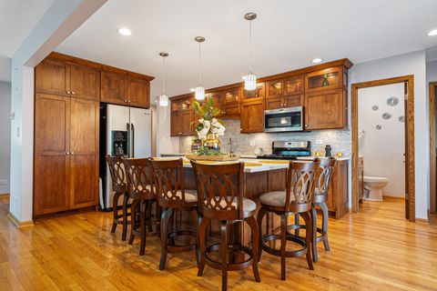 Tiny photo for 8832 Pleasant Avenue, Hickory Hills, IL 60457 (MLS # 12500802)