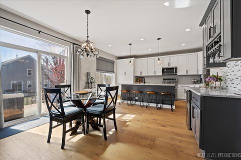 Tiny photo for 3047 Chalkstone Avenue, Elgin, IL 60124 (MLS # 12396154)