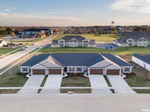 Tiny photo for 361 E DONAHUE Street #11, Eldridge, IA 52748 (MLS # QC4242754)