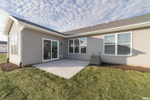 Tiny photo for 361 E DONAHUE Street #11, Eldridge, IA 52748 (MLS # QC4242754)