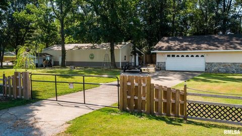 Tiny photo for 708 E Candy Cane Lane, WestFrank, IL 62896 (MLS # QC4266564)