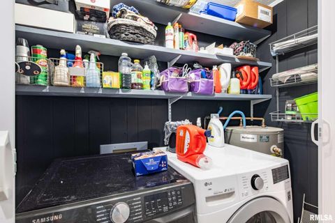 Tiny photo for 708 E Candy Cane Lane, WestFrank, IL 62896 (MLS # QC4266564)