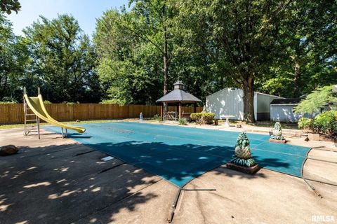 Tiny photo for 708 E Candy Cane Lane, WestFrank, IL 62896 (MLS # QC4266564)