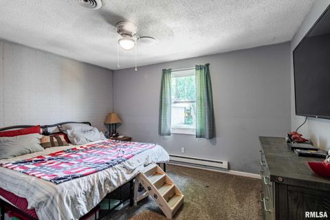 Tiny photo for 708 E Candy Cane Lane, WestFrank, IL 62896 (MLS # QC4266564)