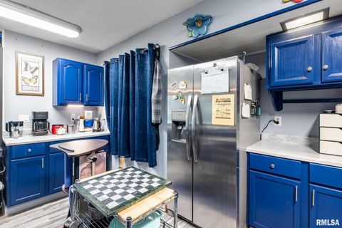 Tiny photo for 708 E Candy Cane Lane, WestFrank, IL 62896 (MLS # QC4266564)