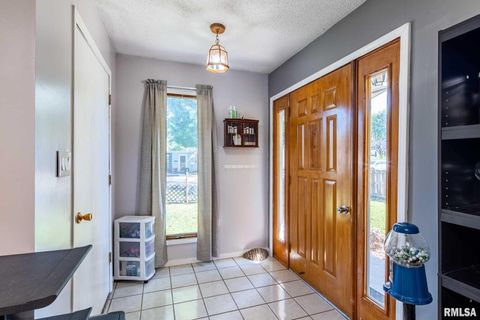 Tiny photo for 708 E Candy Cane Lane, WestFrank, IL 62896 (MLS # QC4266564)